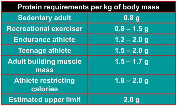 protein requirements for rugby players