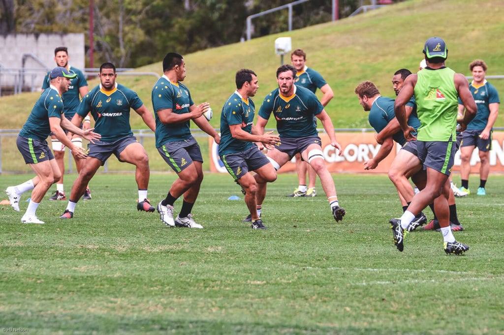 australia rugby team training